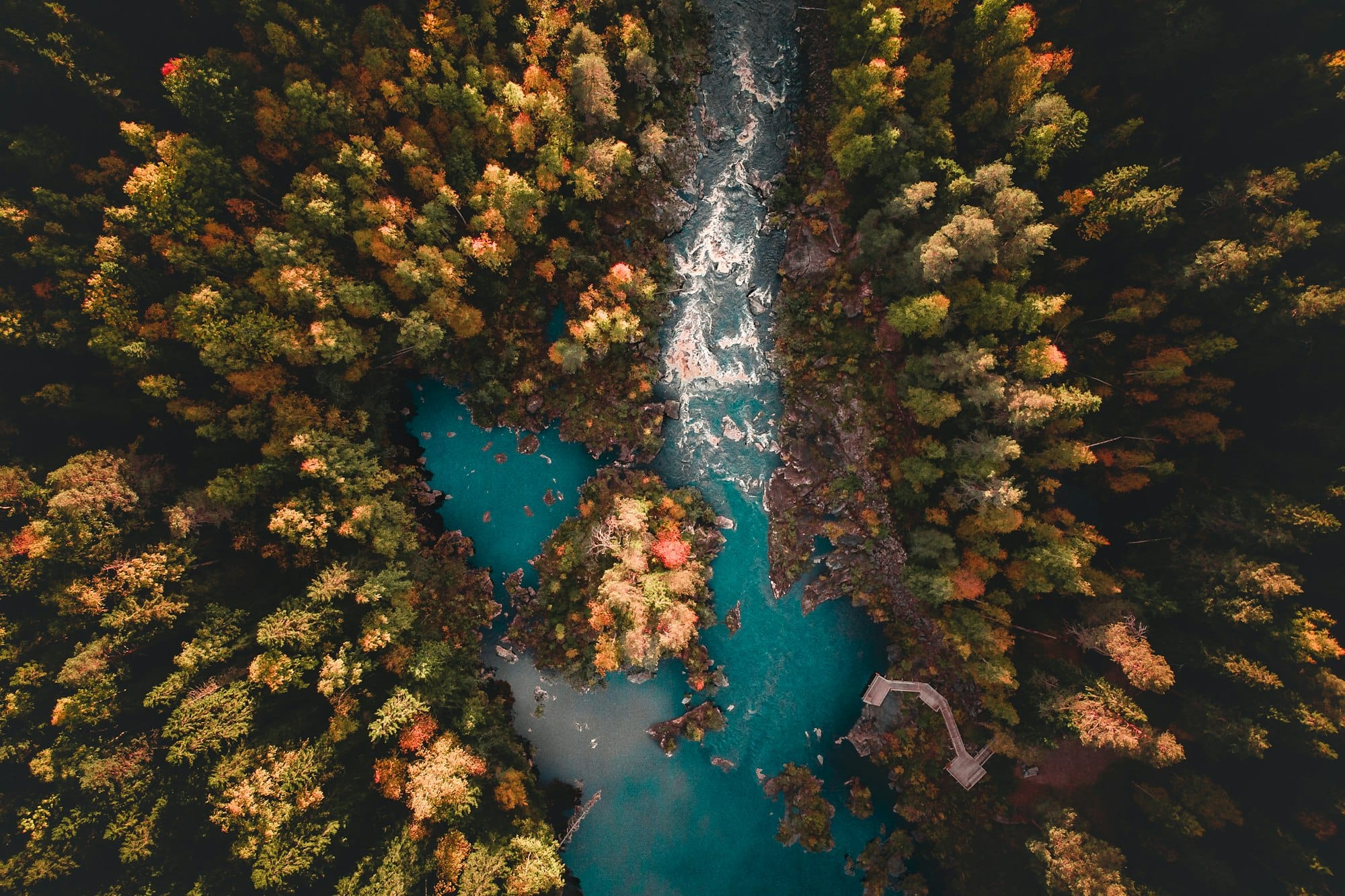 Aerial top view of a river flowing into a lake surrounded by a green pine forest